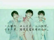 华体会-包含那些给bin洗白的呢？的词条