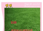 华体会官网-关于佛罗伦萨队目标是在主场击败维罗纳的信息